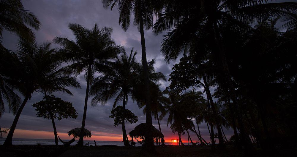 Clandestino Beach Resort Parrita Exteriér fotografie