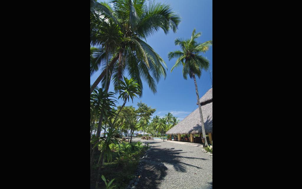 Clandestino Beach Resort Parrita Exteriér fotografie