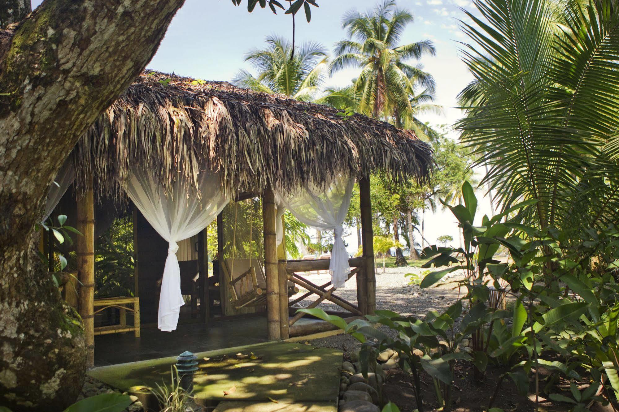 Clandestino Beach Resort Parrita Exteriér fotografie
