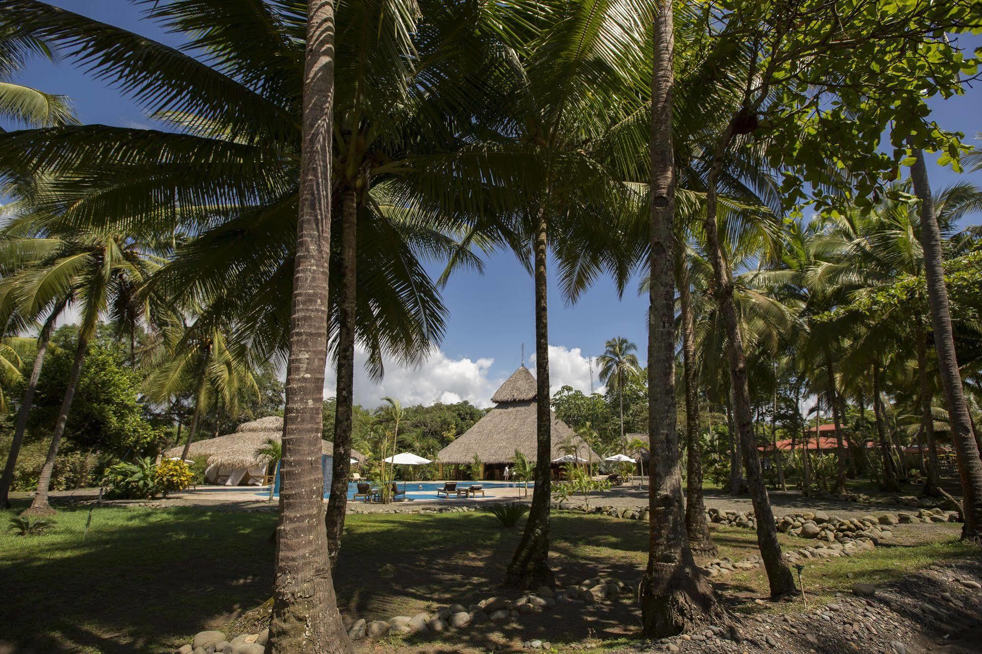 Clandestino Beach Resort Parrita Exteriér fotografie