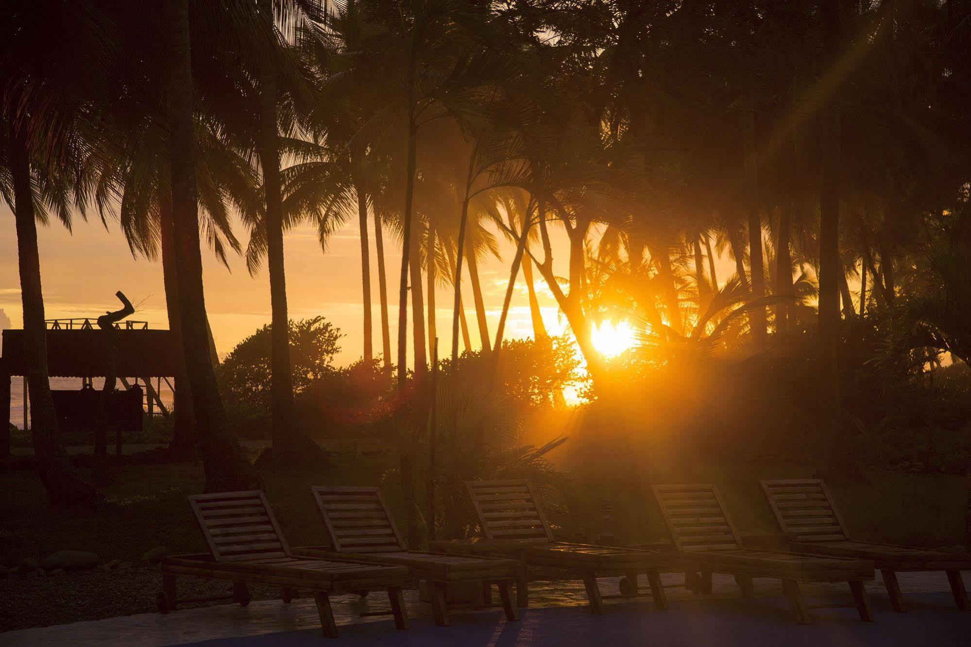 Clandestino Beach Resort Parrita Exteriér fotografie