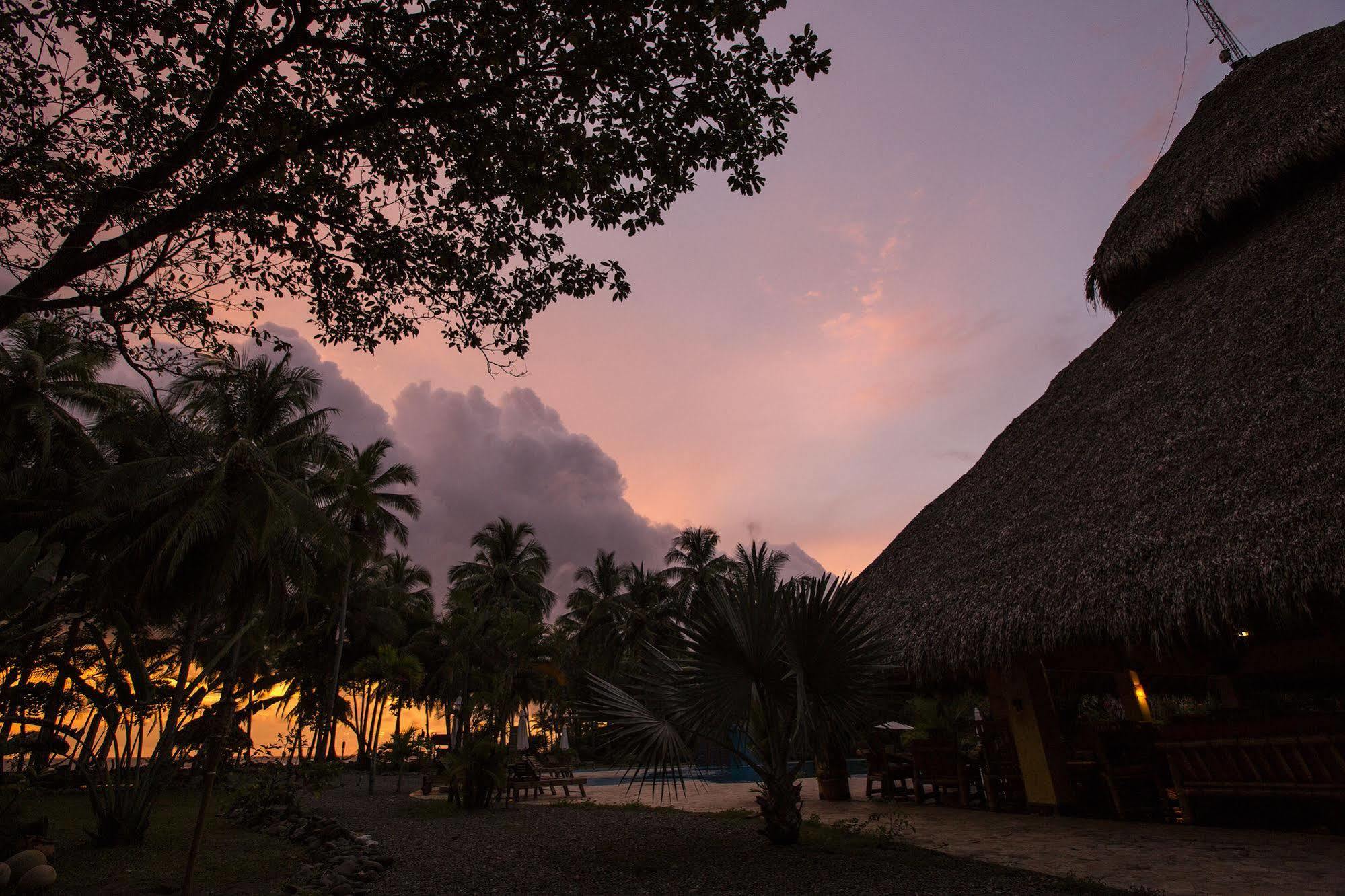 Clandestino Beach Resort Parrita Exteriér fotografie