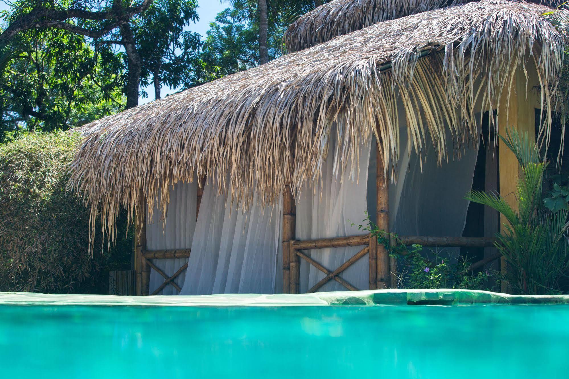 Clandestino Beach Resort Parrita Exteriér fotografie