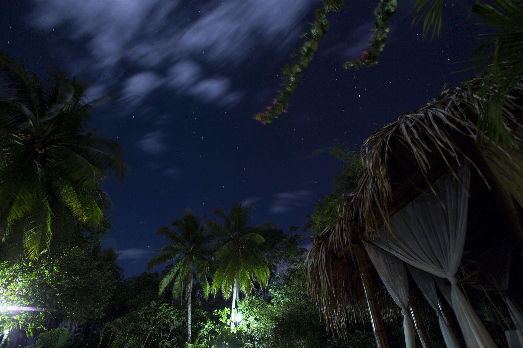 Clandestino Beach Resort Parrita Exteriér fotografie
