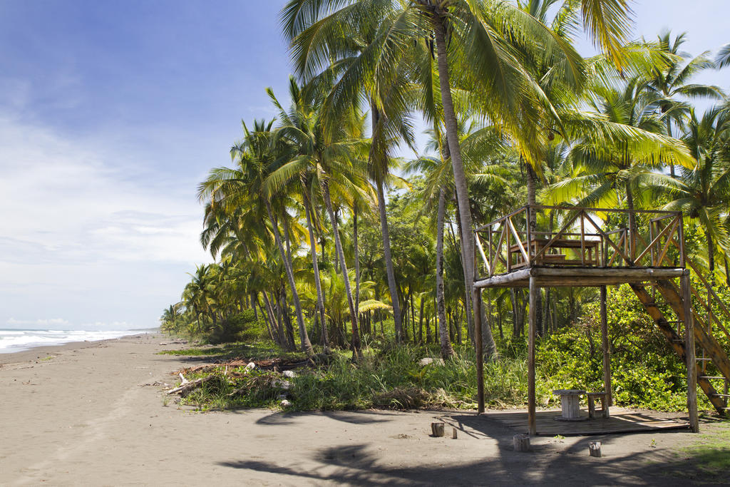 Clandestino Beach Resort Parrita Exteriér fotografie