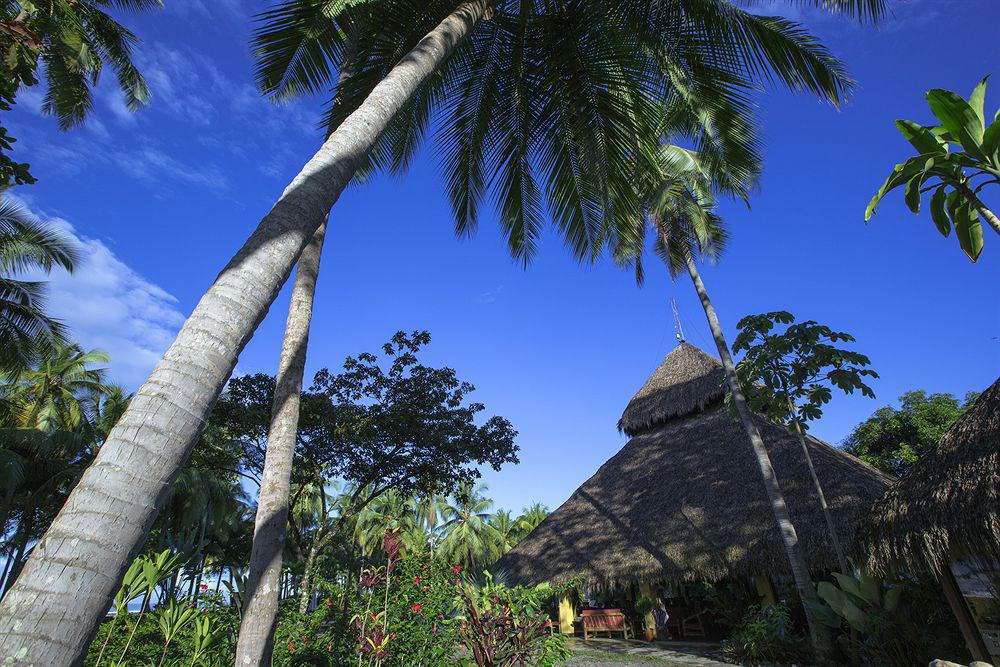 Clandestino Beach Resort Parrita Exteriér fotografie